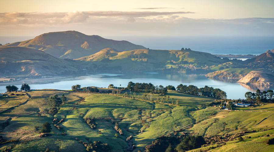 Onze autoverhuurservices bieden een gevarieerde selectie van voertuigen in Dunedin.